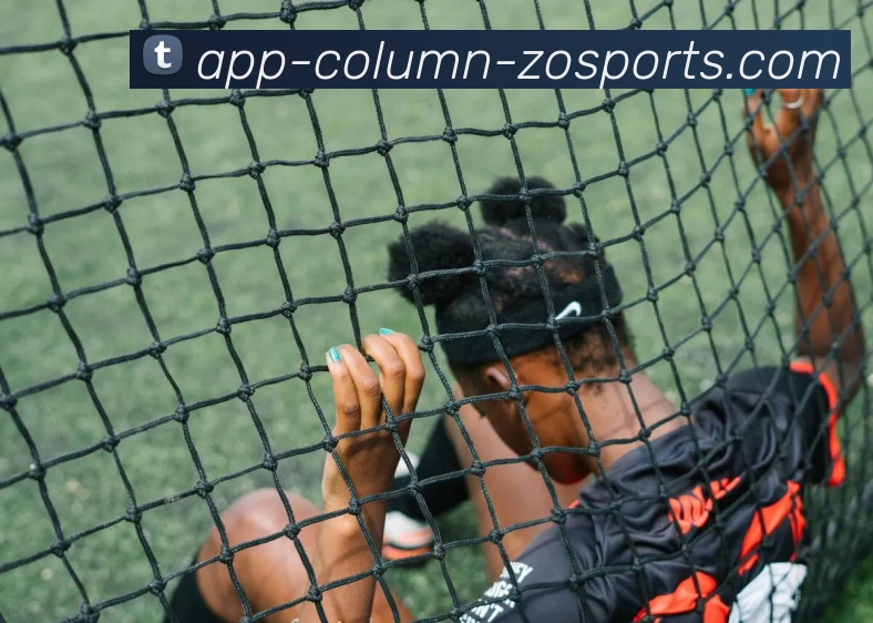 中欧体育APPAPP 体育赛事宣传图